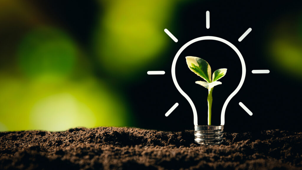 ecological friendly and sustainable environment