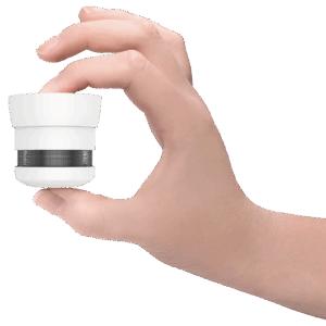 gloria rc10 smoke 10y hand