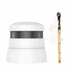 gloria rc10 smoke 10y match comparison