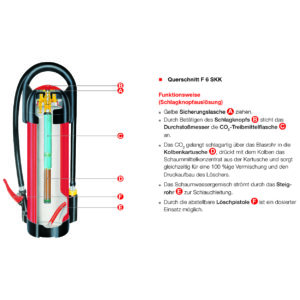gloria schnitt design line schaum 1x1