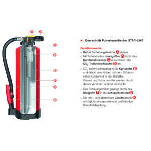 gloria schnitt star line pulver 1x1